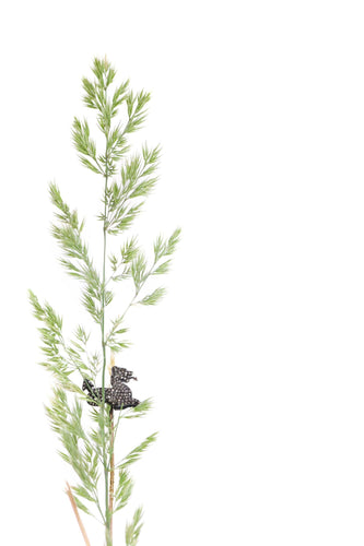 Montre La Garde du Griffon : un joyau victorien romantique à l'allure mythique 58 Facettes 21316-0741