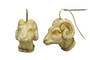 Boucles d'oreilles Boucles d'oreilles antiques ivoire sculpté 58 Facettes 7276