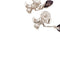 Boucles d'oreilles Boucles d'oreilles Pomellato, "Forever", or naturel, diamants, quartz fumé. 58 Facettes 35001