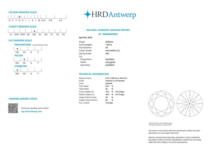 Gemstone BRILLIANT CUT NATURAL DIAMOND 1,03CT G VS2 (HRD) 58 Facettes D360731LF