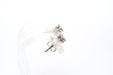 Boucles d'oreilles Boucles d'oreilles contemporaines or blanc, diamants 58 Facettes B459