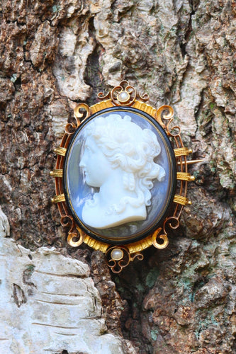 Montre Camée victorien : un aperçu des bijoux français du XIXe siècle 58 Facettes 15209-0125