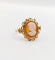 Bague 52.5 Bague vintage or jaune, camée sur coquille 58 Facettes A06091