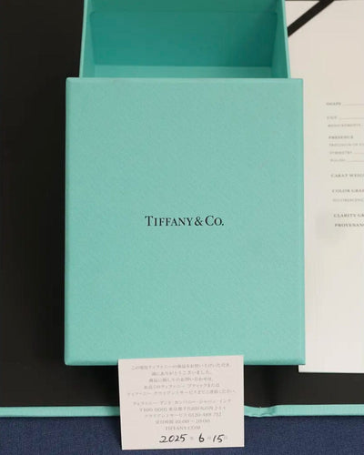 Collier Collier solitaire en platine Tiffany & Co. serti d'un diamant J/VS1 de 0,28 carat (0,28 carat). 58 Facettes