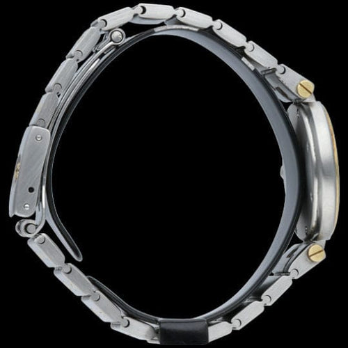 Montre Cartier Montre Santos Ronde 58 Facettes MT44413