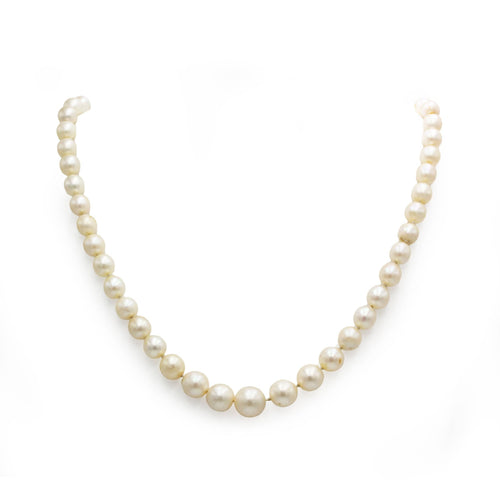 Collier Collier - Or blanc, Diamants & Perles de culture 58 Facettes 250071SP