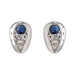 Boucles d'oreilles Boucles d'oreilles Puces Or blanc Saphir, Diamant 58 Facettes 3748553CN