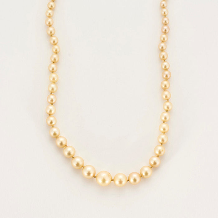 Collier or blanc perle de culture