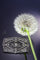 Broche Fusion élégante : broche édouardienne et Art déco 58 Facettes 20302-0004