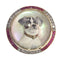 Montre Symbole d'affection : un Jack Russell Terrier serti de pierres précieuses 58 Facettes 21007-0047