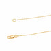 Collier Collier Or jaune Diamant 58 Facettes 579058RV