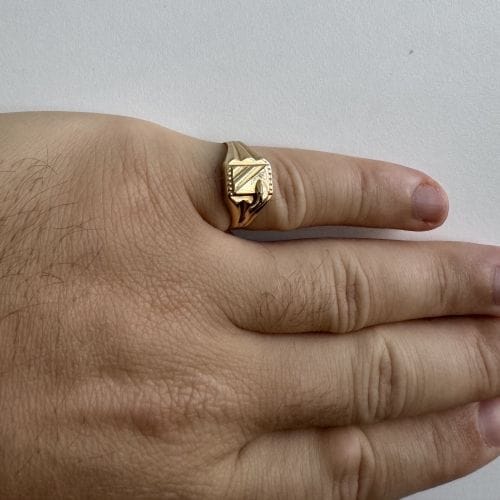 Bague Bague chevalier en or jaune avec serpent 58 Facettes 29398