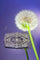 Broche Fusion élégante : broche édouardienne et Art déco 58 Facettes 20302-0004