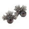 Boucles d'oreilles Boucles d'oreilles en or blanc avec perles de Tahiti et diamants 58 Facettes G3862
