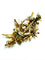 Broche Splendida Spilla Imperiale Austroungarica 58 Facettes