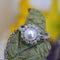 Bague 53 Bague perle de culture Akoya et diamants or blanc 58 Facettes 24-074