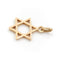 Pendentif Pendentif Etoile de David Or jaune 58 Facettes 1783195CN