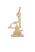 Pendentif Pendentif or jaune signe balance 58 Facettes 090551