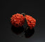 Boucles d'oreilles Boucles d'oreilles anciennes siciliennes en corail sculpté 58 Facettes