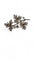 Broche Broche ancienne en or jaune, argent et diamants 58 Facettes