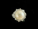 Bague 54.5 Bague or blanc sertie d'une perle blanche et diamants 58 Facettes
