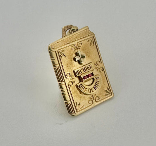 Pendentif AUGIS - Médaille Livre or jaune, rubis 58 Facettes