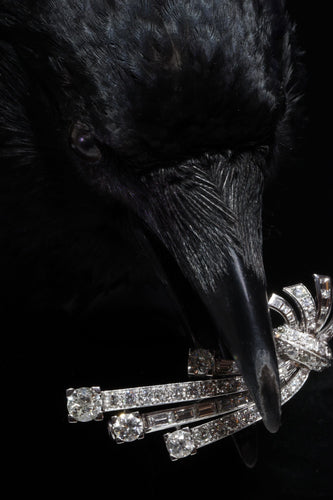 Broche Élégance intemporelle : platine et diamants des années 1950 58 Facettes 21348-0038