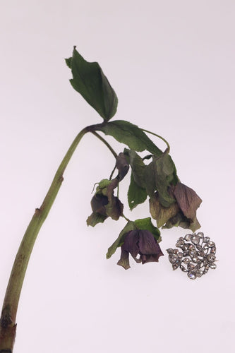 Broche Opulence du Vieux Monde : Broche baroque en diamant taille rose vers 1680 58 Facettes 22027-0087