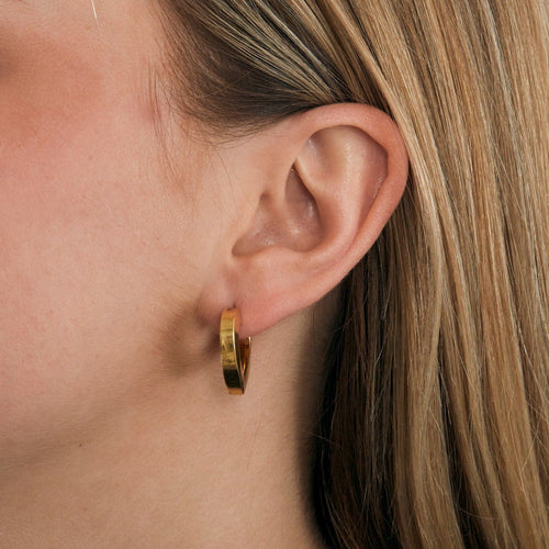 Boucles d'oreilles Boucles d'oreilles Coeur 58 Facettes LP656/5