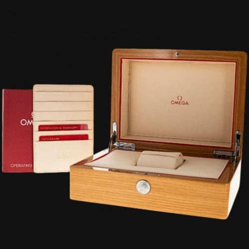 Omega Montre Seamaster Planet Ocean 600M