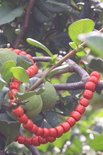 Échos de l'illumination : Collier de corail sanguin