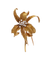 Broche Fleur de Diamants - Broche fleur en or jaune et diamants 58 Facettes BO220678/FleurdeDiamants