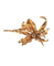 Broche Fleur de Diamants - Broche fleur en or jaune et diamants 58 Facettes BO220678/FleurdeDiamants