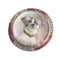 Broche Broche Jack Russell Terrier en or 18K, diamants et rubis 58 Facettes 21007-0047