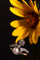 Bague 58 Belle Époque - Bague toi et moi en or jaune 18K, diamants et perle 58 Facettes 20155-0500