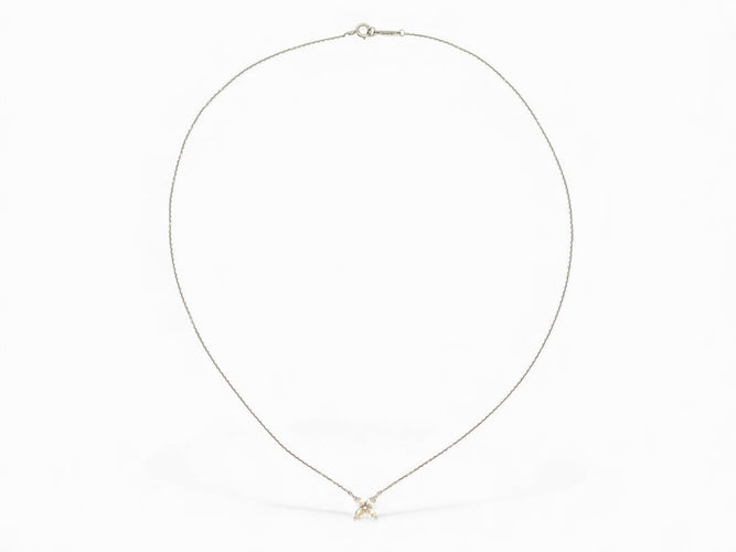Collier Tiffany & Co Victoria - Collier fleur en platine et diamants 0,32 ct 58 Facettes 271712