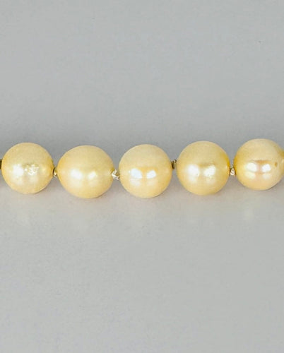 Bracelet Bracelet - Perles de culture et fermoir en or 14 carats 58 Facettes 2311000