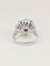 Bague 54 Bague marguerite or blanc diamants 3,90 carats 58 Facettes 1259.4