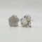 Boucles d'oreilles Boucles d’oreilles fleurs en or blanc 18 carats et diamants naturels 58 Facettes