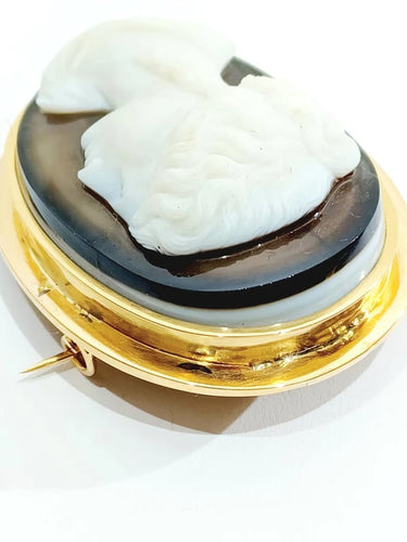 d683d529-b742-4b82-b1b0-9e5cbc591900