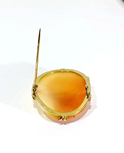 38259373-0733-418c-c550-6bd88ad83600