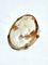 Broche Broche camée coquillage en or jaune 18 carats 58 Facettes