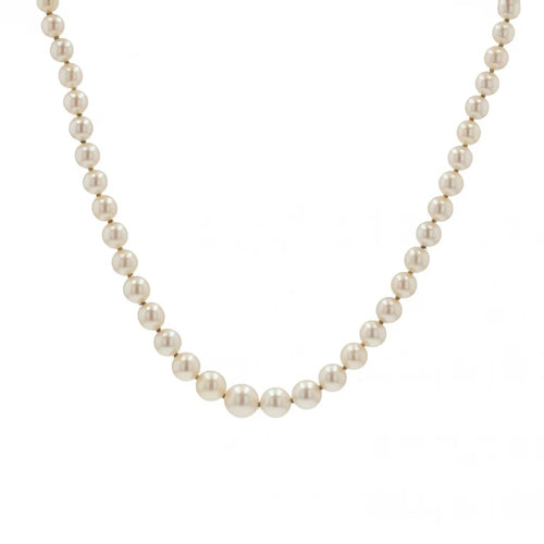 49f07305-59d3-48e9-ecee-c3e263f5dd00