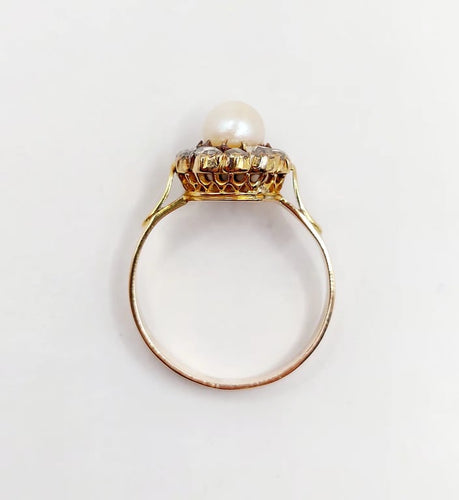 1423aace-cc1f-4d05-41b6-247dd5331900