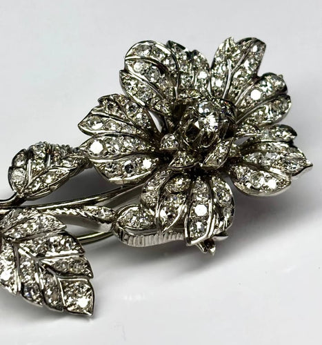 5773dab7-fbd9-4067-08dc-c6252949eb00