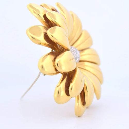 43b6d44d-3dae-40f0-6d4b-c2718c922200