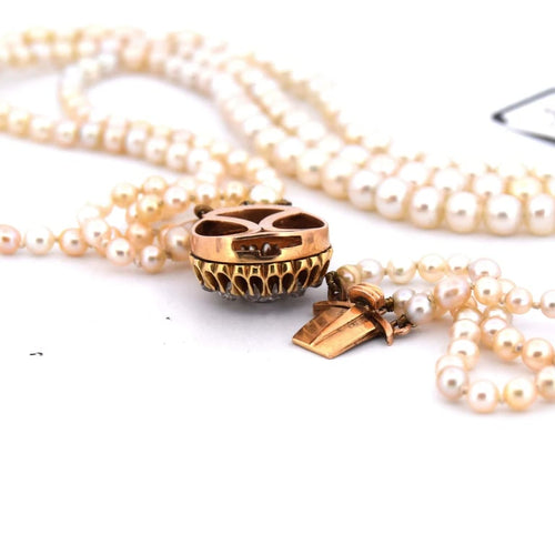 2cfb1b28-28d0-4c47-a2ca-109924599400