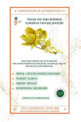 422e183f-3355-48c2-6bf9-9842a5f47400