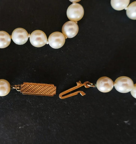 a07f6d95-8759-4b7e-96f8-359a67f73f00