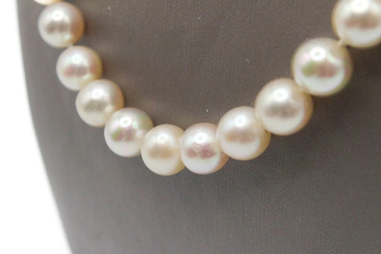 7480ecc8-a162-40a7-c971-ee7ec9168800